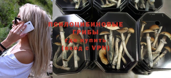 кокс Алексин