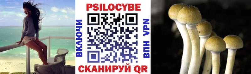 Галлюциногенные грибы мухоморы  где купить наркоту  Куровское 
